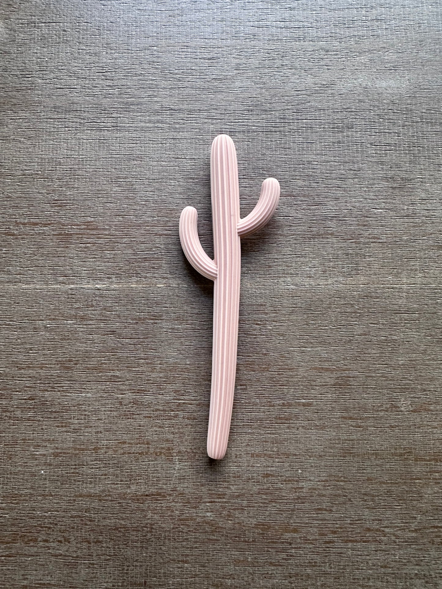 Cactus Teether