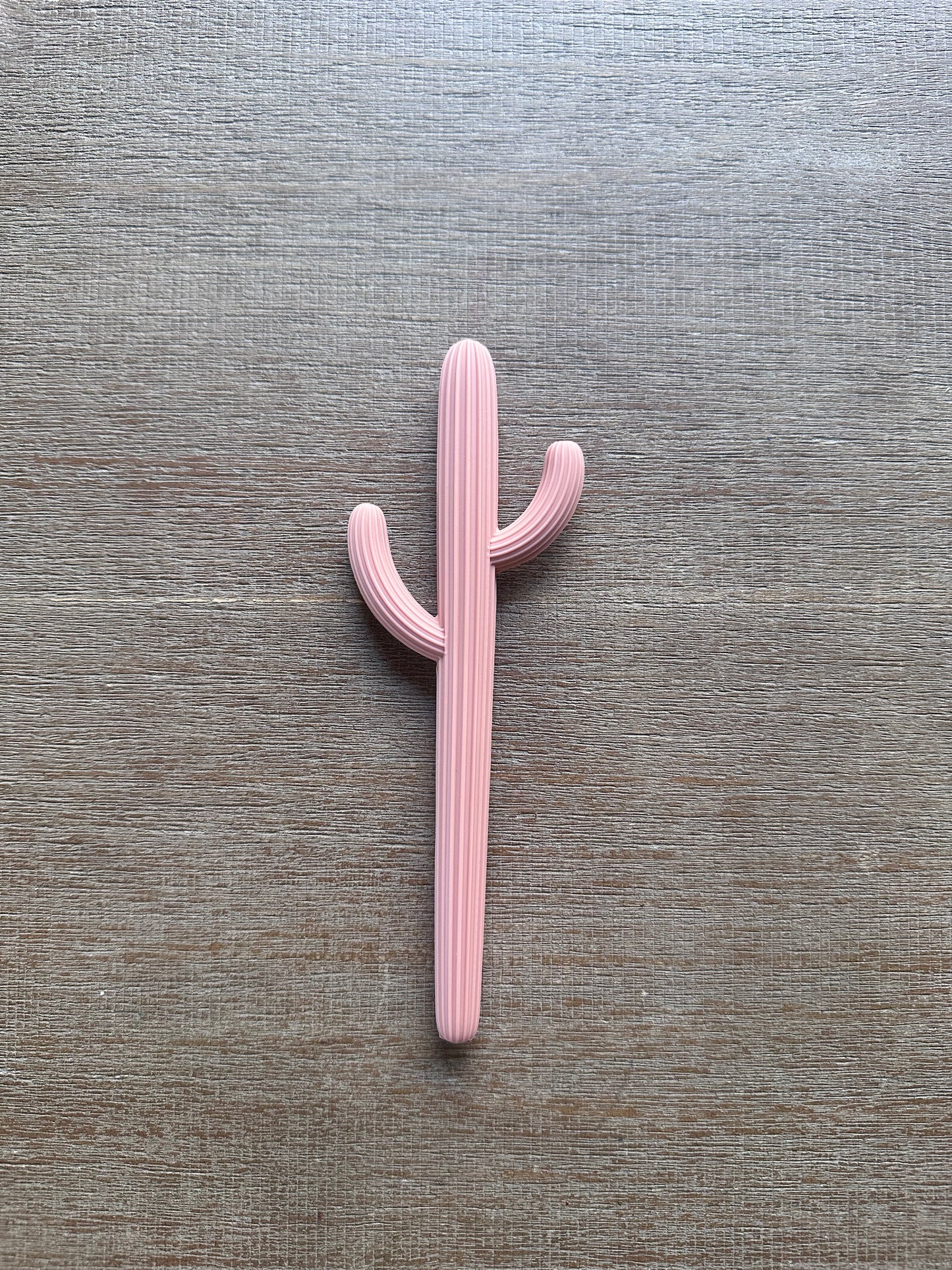 Cactus Teether