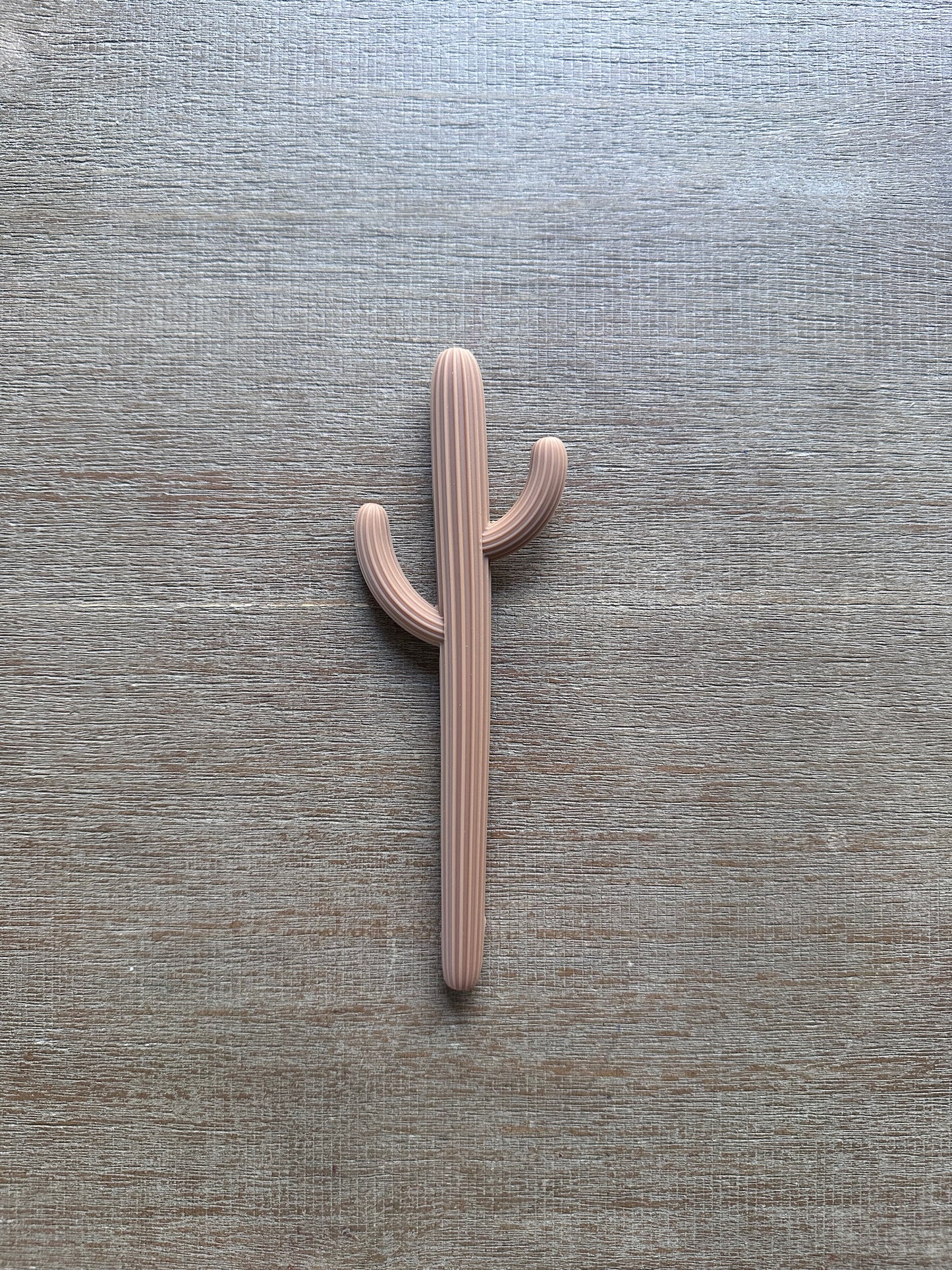 Cactus Teether