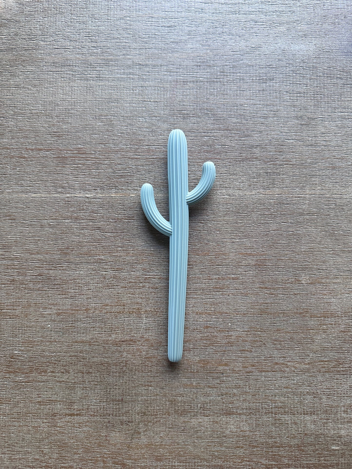 Cactus Teether